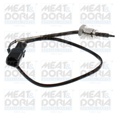 Sensor, exhaust gas temperature